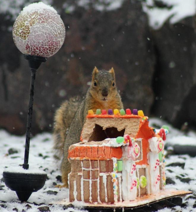 481319_10200255389136467_1165903221_n