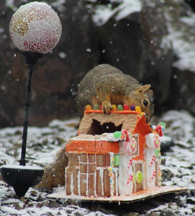 582504_10200255376896161_1532755672_n