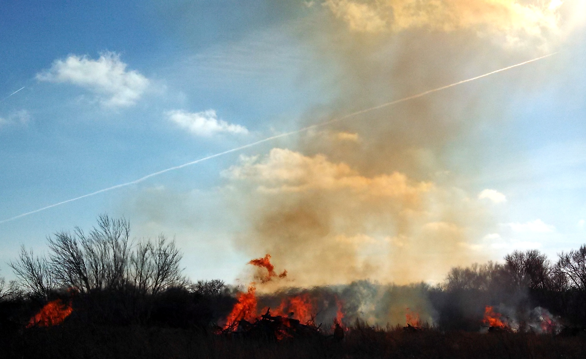 IMG_20130112_120205_971