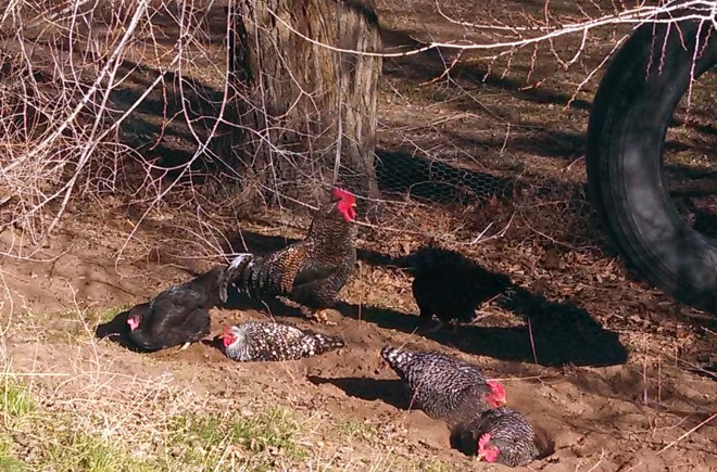 IMG_20130201_105931_402