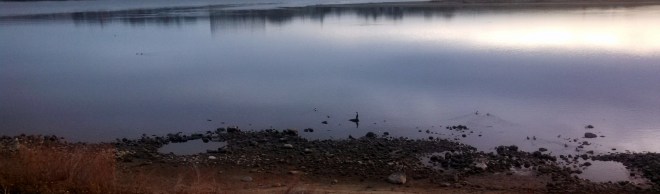 IMG_20130214_074111_755