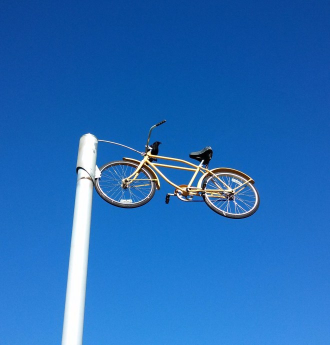 IMG_20130226_104327_401