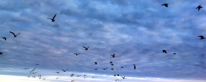 IMG_20130326_071527_545