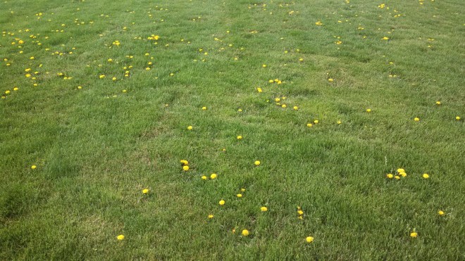 IMG_20130408_163756_662