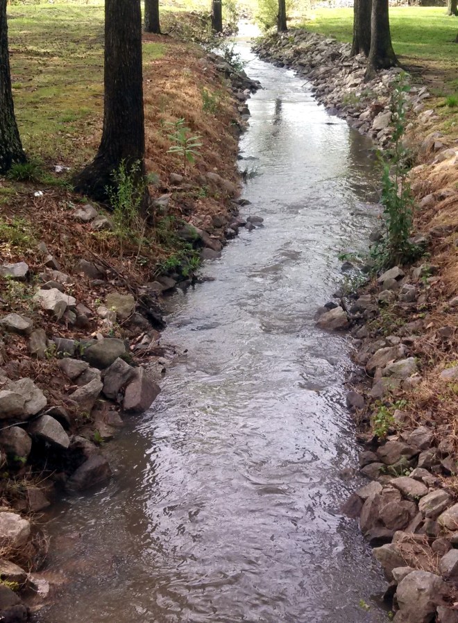 IMG_20130412_103922_514