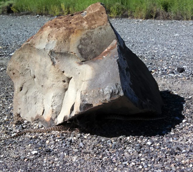 IMG_20130516_102106_089