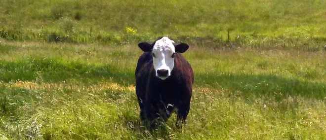 IMG_20130524_143001_653