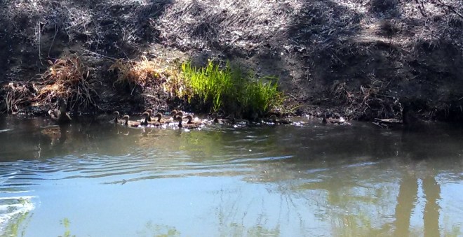 IMG_20130531_145159_880