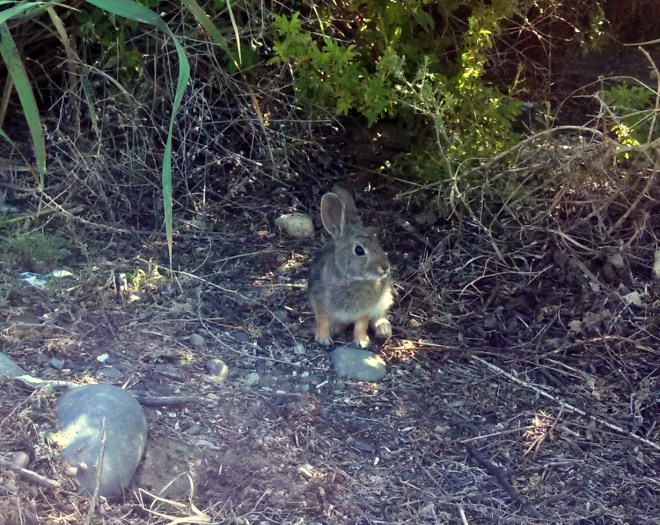 IMG_20130606_080328_914