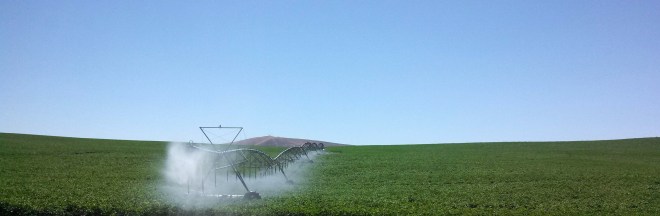 IMG_20130609_142831_517