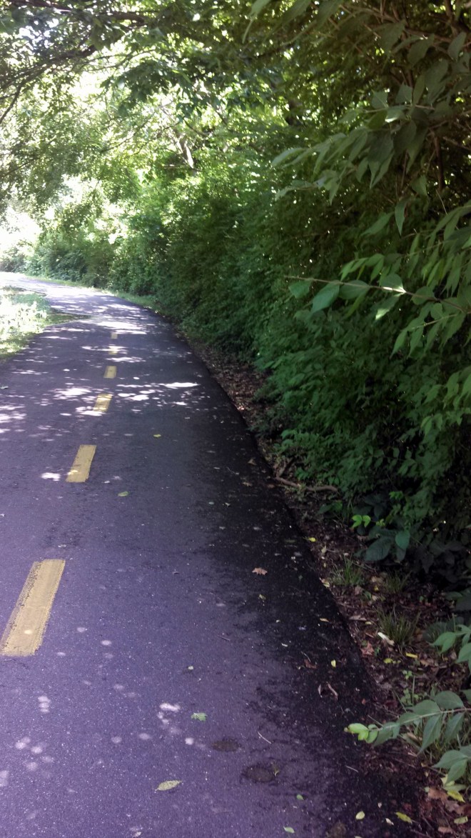 IMG_20130611_111600_315