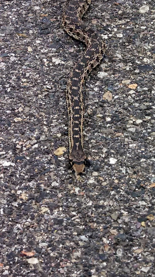 IMG_20130626_152522_980