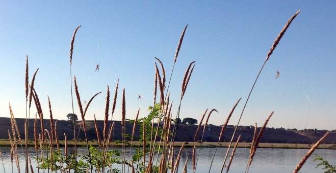 Photo 2013-07-23 12.12.42 PM