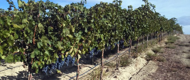 IMG_20131001_110045_672