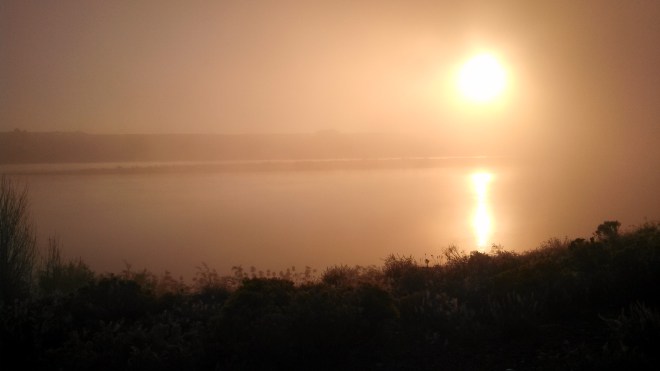 IMG_20131024_081242_578