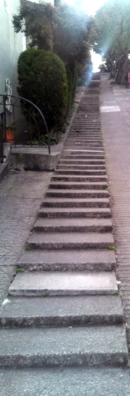 IMG_20131114_161950_524