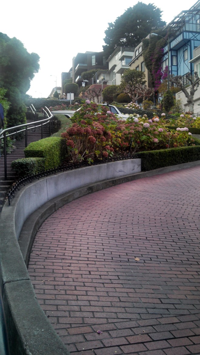 IMG_20131114_163415_224