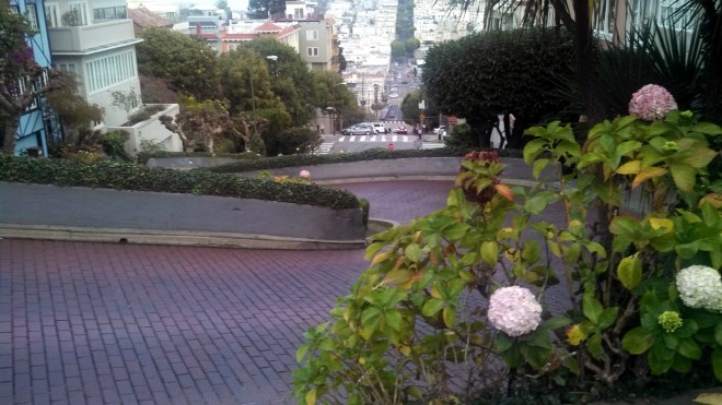 IMG_20131114_163630_304