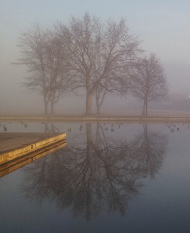 IMG_20140116_082235_549