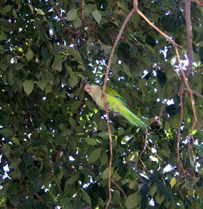 here's looking at you!