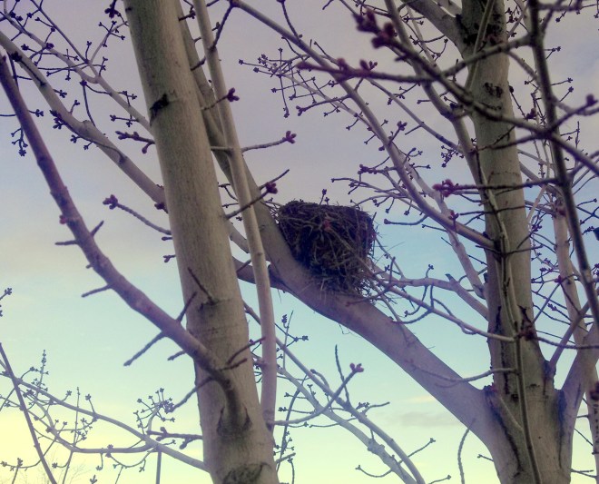 IMG_20140310_091036_650