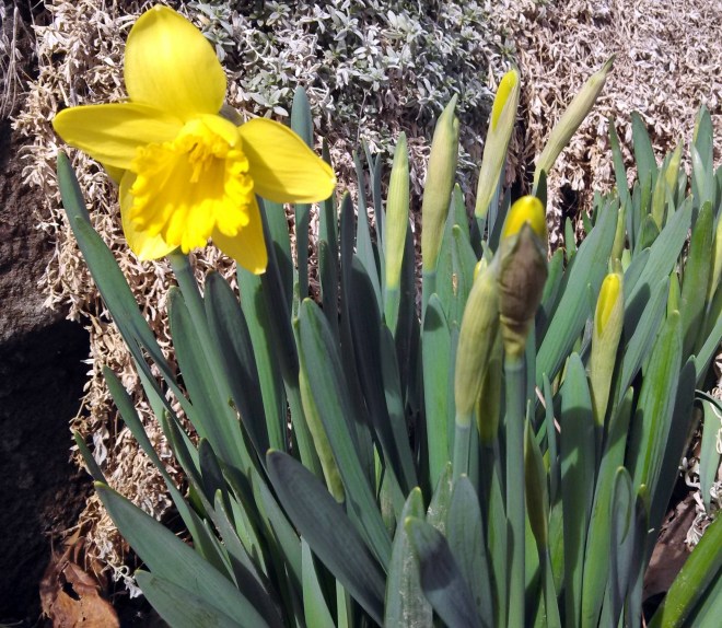 IMG_20140316_120333_460