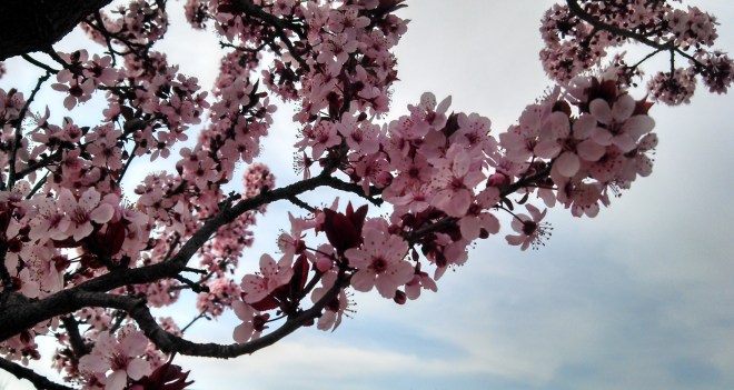 IMG_20140324_145006_404