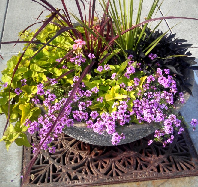 IMG_20140620_075944_326