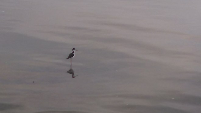 IMG_20140805_073351_342