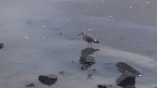 IMG_20140805_073355_640