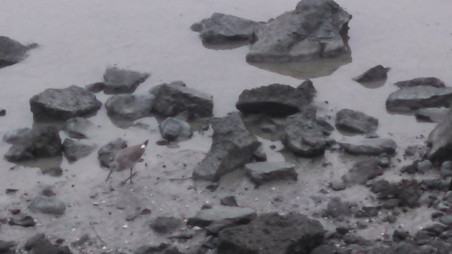 IMG_20140807_065950_577