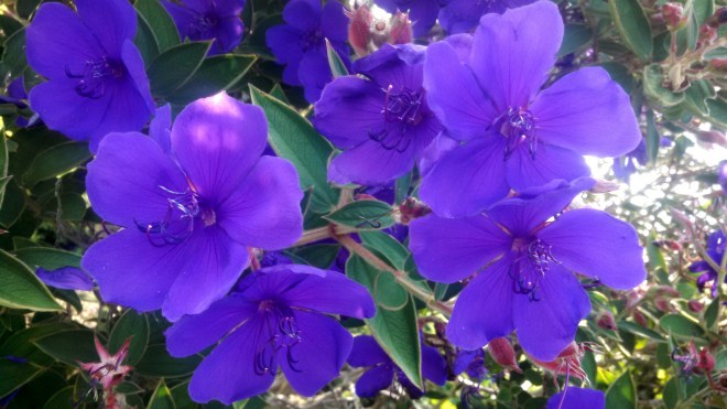 IMG_20140807_172128_157