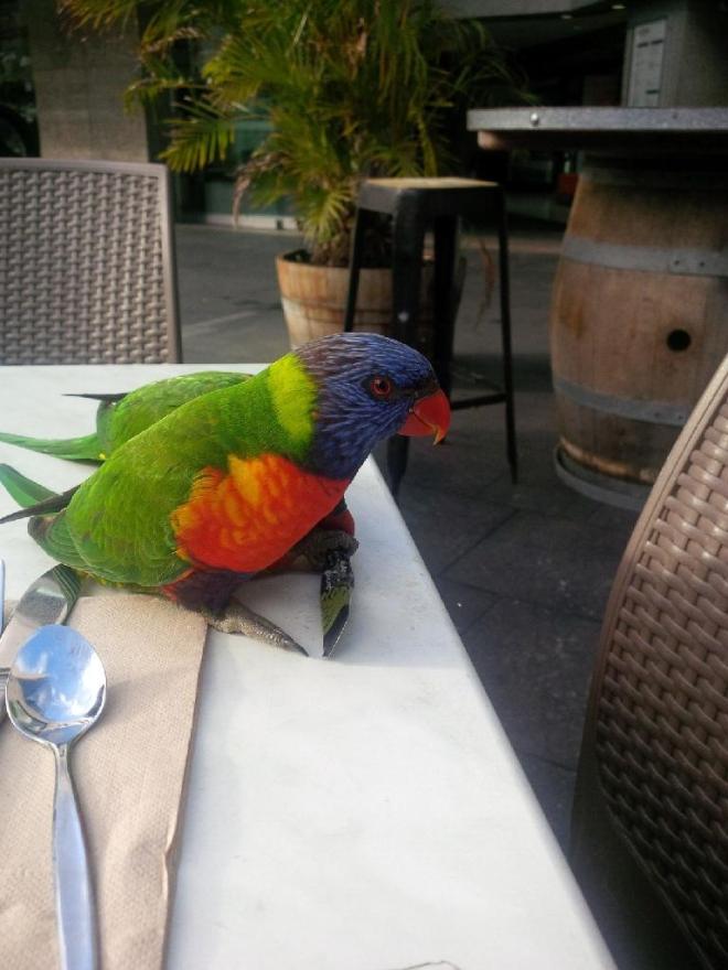 IMG952014090595074950